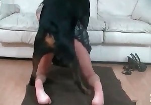 Black dog fucked a hooker in doggy style