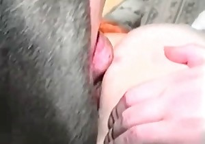 Red dick of a beast in a tight wet cunt 