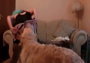 Kinky white doggy is trying to fuck a brunette 