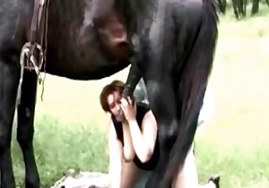 Bitchy chick is having fun with a horse