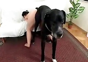 Red doggy dick in a tight wet snatch of a zoophile