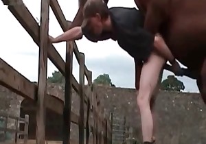 Crazy man is getting fucked by a stallion