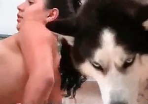 Husky is watching how two babes are fucking