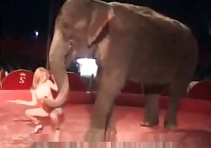 Naked babe and a giant elephant 