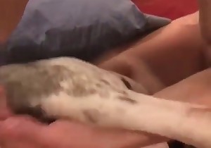 Sweet doggy fucked by my lustful hubby