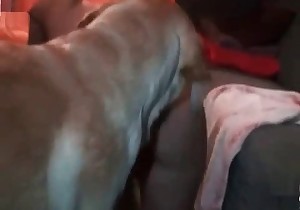 My huge doggy is perfect pussy banger 
