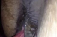 Zoo Porn Videos - Best Animal Sex Clips HD